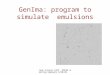 GenIma: program to simulate   e mulsions