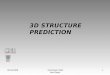 3D STRUCTURE  PREDICTION