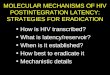 MOLECULAR MECHANISMS OF HIV POSTINTEGRATION LATENCY: STRATEGIES FOR ERADICATION