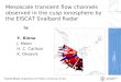 Mesoscale transient flow channels observed in the cusp ionosphere by the EISCAT Svalbard Radar
