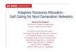Adaptive Resource Allocation:  Self-Sizing for Next Generation Networks