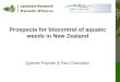 Prospects for biocontrol of aquatic weeds in New Zealand