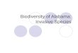 Biodiversity of Alabama: Invasive Species