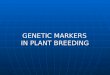 GENETIC MARKERS  IN PLANT BREEDING