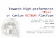 Towards High-performance  IPsec on Cavium  OCTEON  Platform