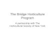 The Bridge Horticulture Program
