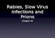 Rabies, Slow Virus Infections and Prions