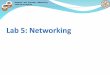 Lab 5: Networking