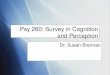 Psy 260: Survey in Cognition and Perception