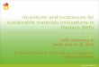 Incentives and hindrances for sustainable materials innovations in Flemish SMEs