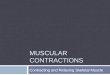 Muscular Contractions