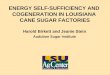 ENERGY SELF-SUFFICIENCY AND COGENERATION IN LOUISIANA  CANE SUGAR FACTORIES