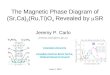 The Magnetic Phase Diagram of (Sr,Ca) 2 (Ru,Ti)O 4  Revealed by  m SR