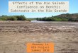 Effects of the Rio Salado Confluence on Benthic Substrate in the Rio Grande