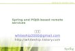 Spring and POJO-based remote services