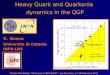 Heavy Quark and Quarkonia  dynamics in the QGP