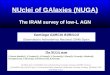 NUclei of GAlaxies (NUGA) The IRAM survey of low-L AGN
