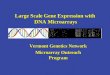 Large Scale Gene Expression with  DNA Microarrays