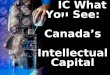 IC What You See: Canada’s    Intellectual Capital        Ranking Dr.  Nick Bontis