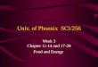 Univ. of Phoenix  SCI/256