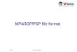 MP4/3GP/PSP file format