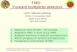 FMD:   Forward multiplicity detectors
