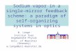 Sodium vapor in a single-mirror feedback scheme: a paradigm of self-organizing systems in optics