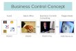 Business Control Concept