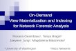 On-Demand  View Materialization and Indexing  for Network Forensic Analysis