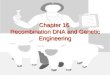 Chapter 16  Recombination DNA and Genetic Engineering