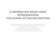 A DISTRIBUTION BASED VIDEO REPRESENTATION FOR HUMAN ACTION RECOGNITION