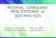 INTERNAL   CONSULTANT PERCEPTIONS of  BEST PRACTICES
