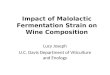 Impact of Malolactic Fermentation Strain on Wine Composition