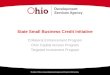 State Small Business Credit Initiative