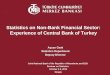 Statistics on Non-Bank Financial Sector: Experience of Central Bank of Turkey