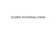 AYUBIA NATIONAL PARK
