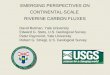 EMERGING PERSPECTIVES ON CONTINENTAL-SCALE  RIVERINE CARBON FLUXES David Butman, Yale University