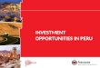 INVESTMENT OPPORTUNITIES IN PERU