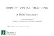 ROBUST  VISUAL  TRACKING A Brief Summary