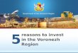 reasons to invest in the Voronezh Region