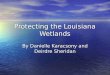Protecting the Louisiana Wetlands