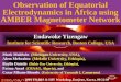 Observation of Equatorial Electrodynamics in Africa using AMBER Magnetometer Network
