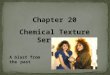 Chapter 20 Chemical Texture Services