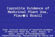 Coprolite Evidence of Medicinal Plant Use, Piau � í  Brazil