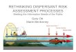 RETHINKING DISPERSANT RISK ASSESSMENT PROCESSES Meeting the Information Needs of the Public