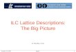 ILC Lattice Descriptions: The Big Picture