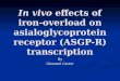 In vivo  effects of iron-overload on asialoglycoprotein receptor (ASGP-R) transcription