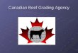 Canadian Beef Grading Agency