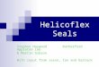 Helicoflex Seals