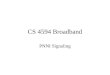 CS 4594 Broadband
